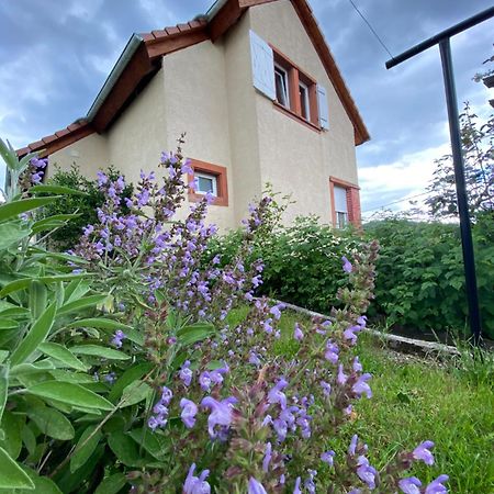 Le Refuge De L'Ours Villa Baerenthal Dış mekan fotoğraf