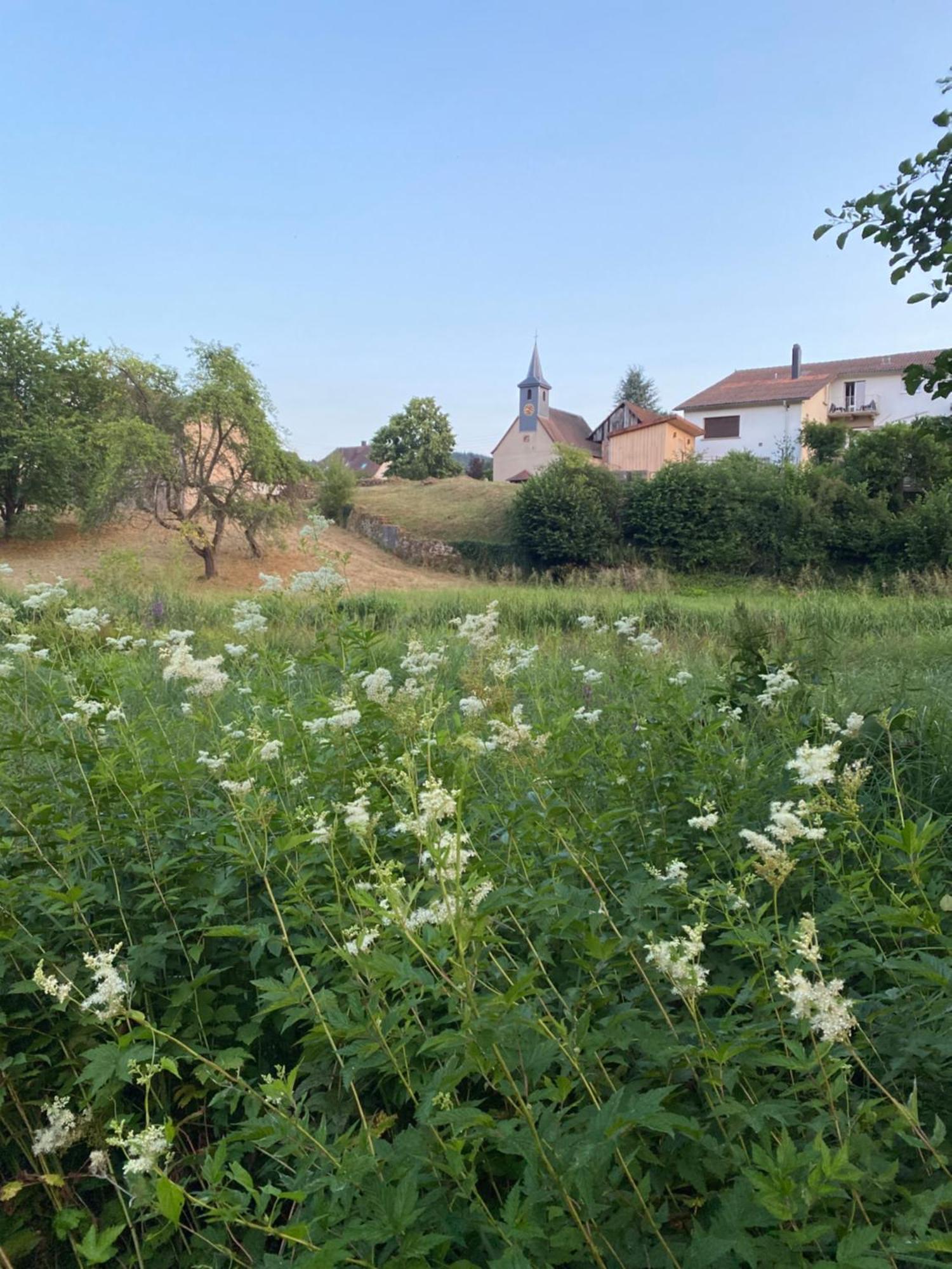 Le Refuge De L'Ours Villa Baerenthal Dış mekan fotoğraf