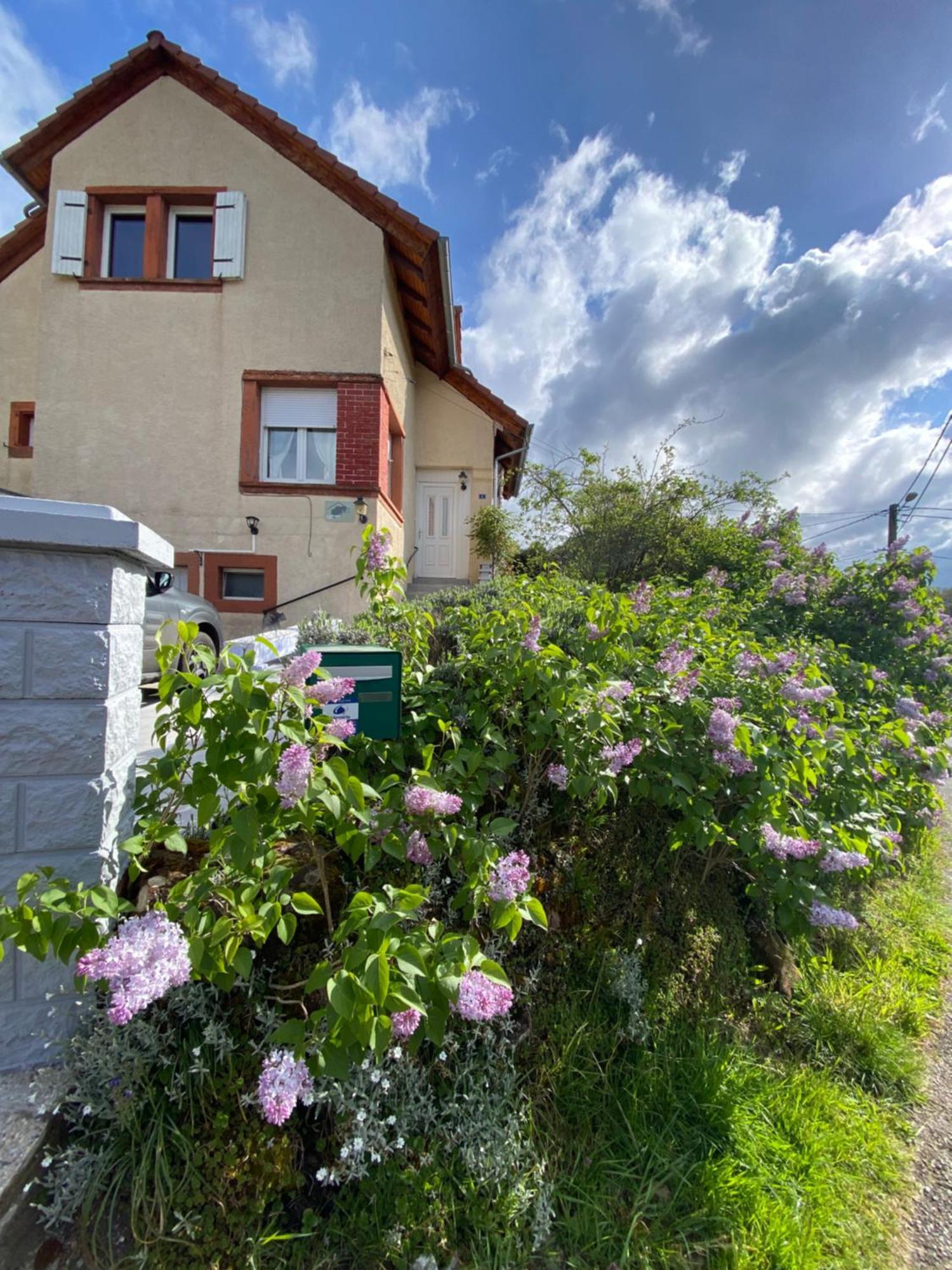 Le Refuge De L'Ours Villa Baerenthal Dış mekan fotoğraf