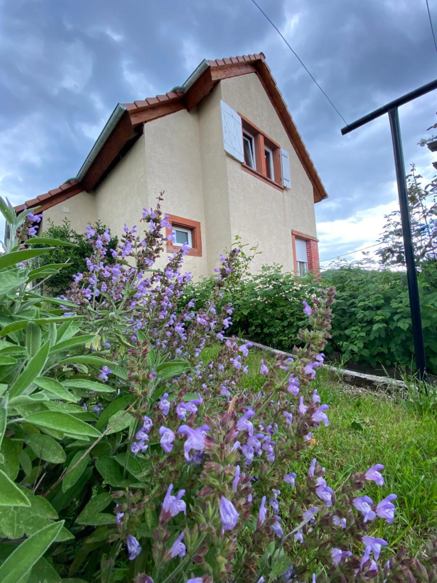Le Refuge De L'Ours Villa Baerenthal Dış mekan fotoğraf