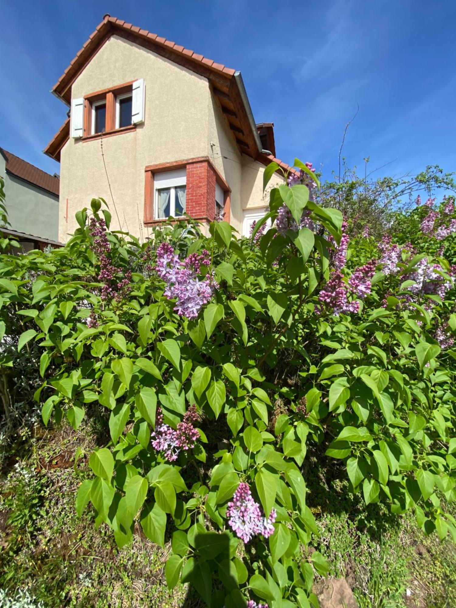 Le Refuge De L'Ours Villa Baerenthal Dış mekan fotoğraf