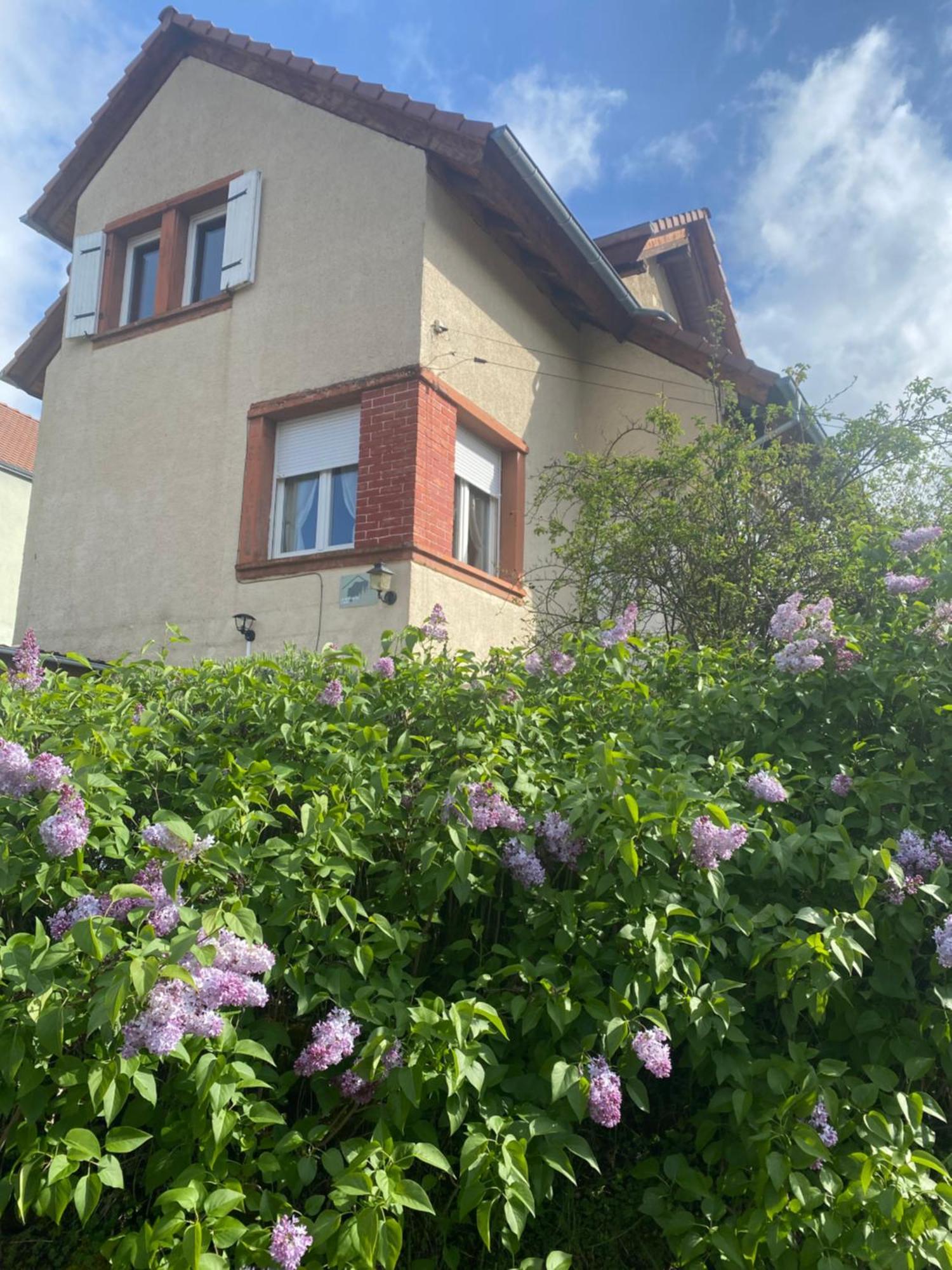 Le Refuge De L'Ours Villa Baerenthal Dış mekan fotoğraf