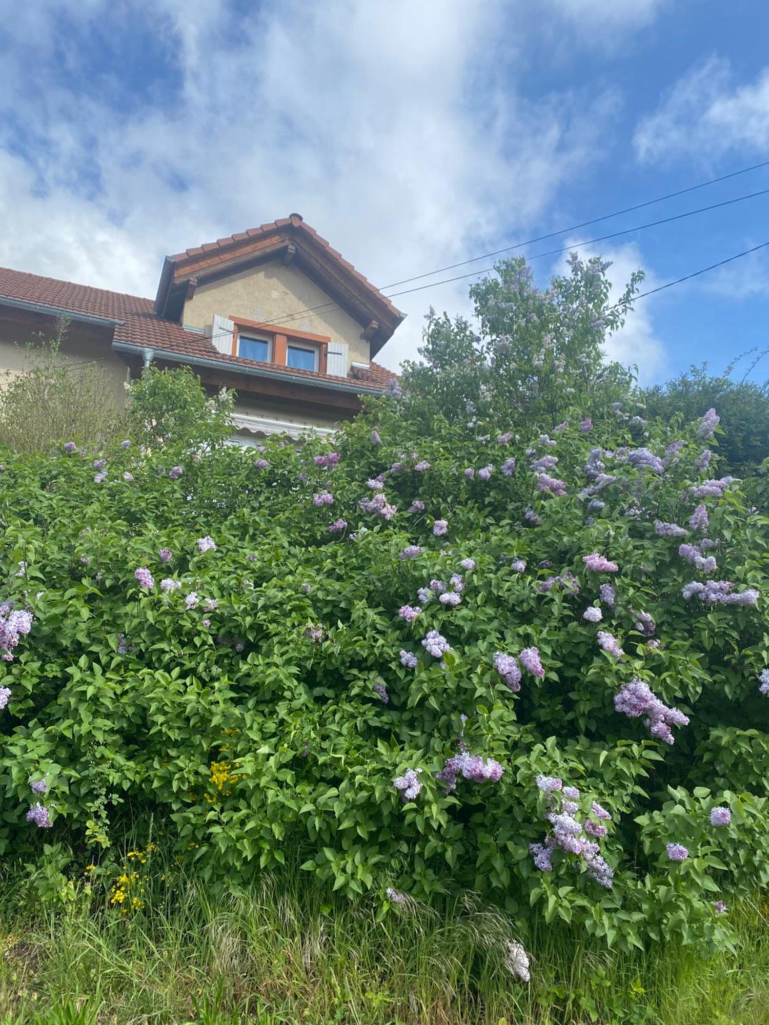 Le Refuge De L'Ours Villa Baerenthal Dış mekan fotoğraf