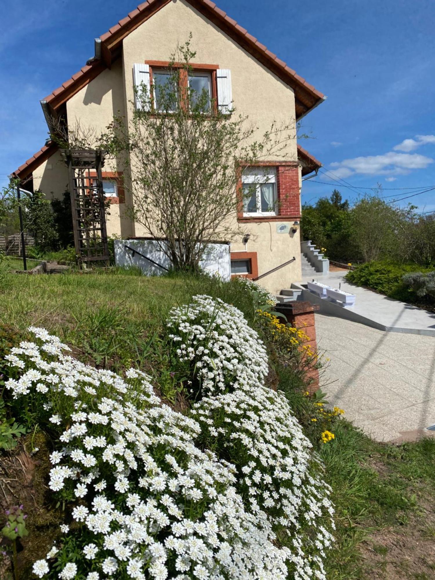Le Refuge De L'Ours Villa Baerenthal Dış mekan fotoğraf